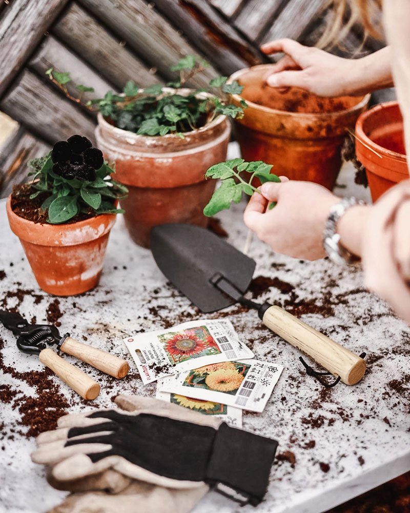 Hand tool Spade Planting