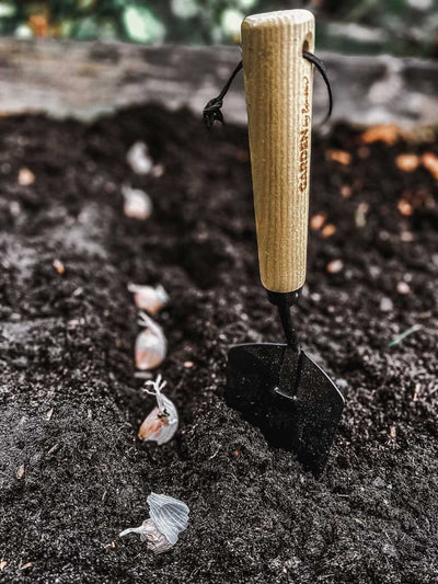 Hand tool Spade Planting