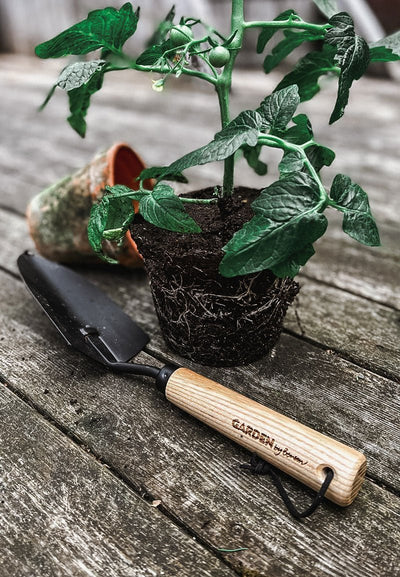 Hand tool Spade Planting