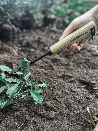 Hand tool Weeder